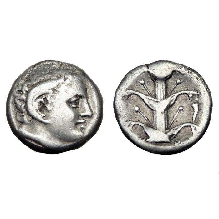 Kyrenaica Kyrene Ar Didrachm