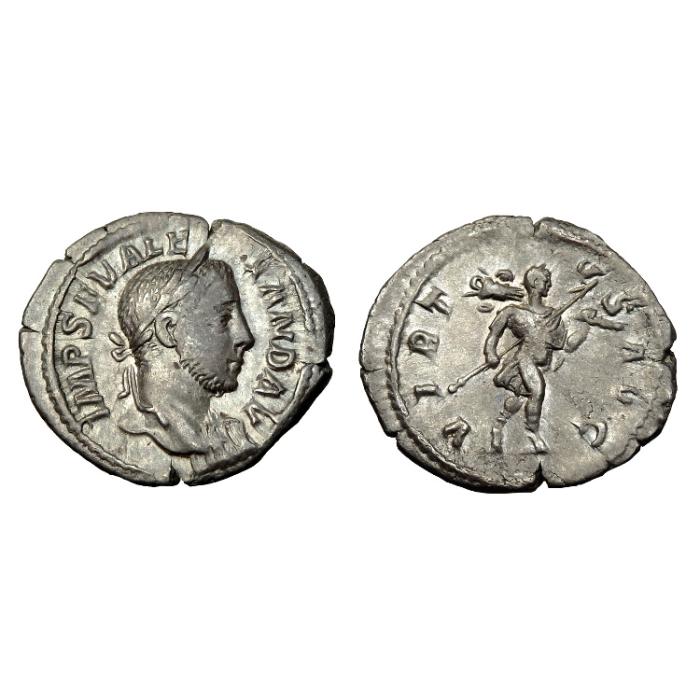 Severus Alexander Ar Denarius