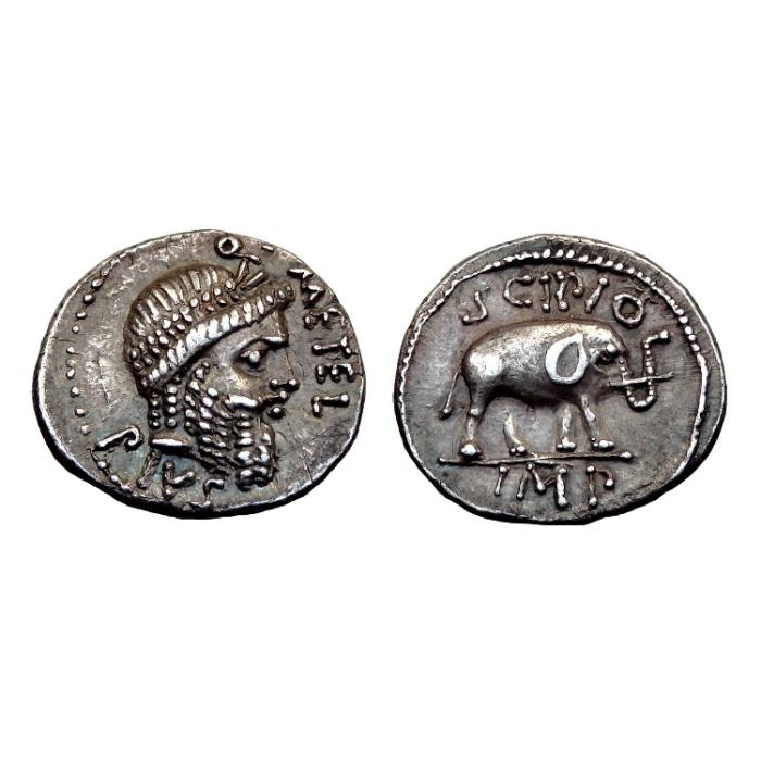 Q. C. Metellus Pius Scipio Ar Denarius