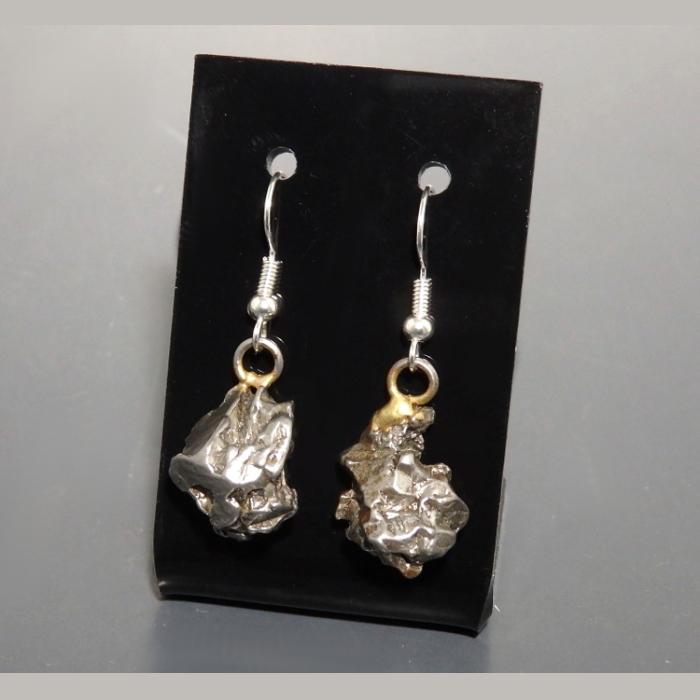 Campo Del Cielo Iron Meteorite Earrings